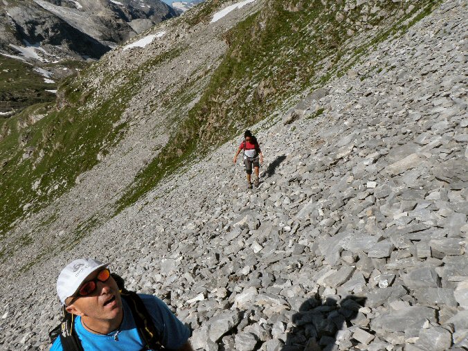 Aiguille de la Vanoise (27).jpg - Pierrier dlicat